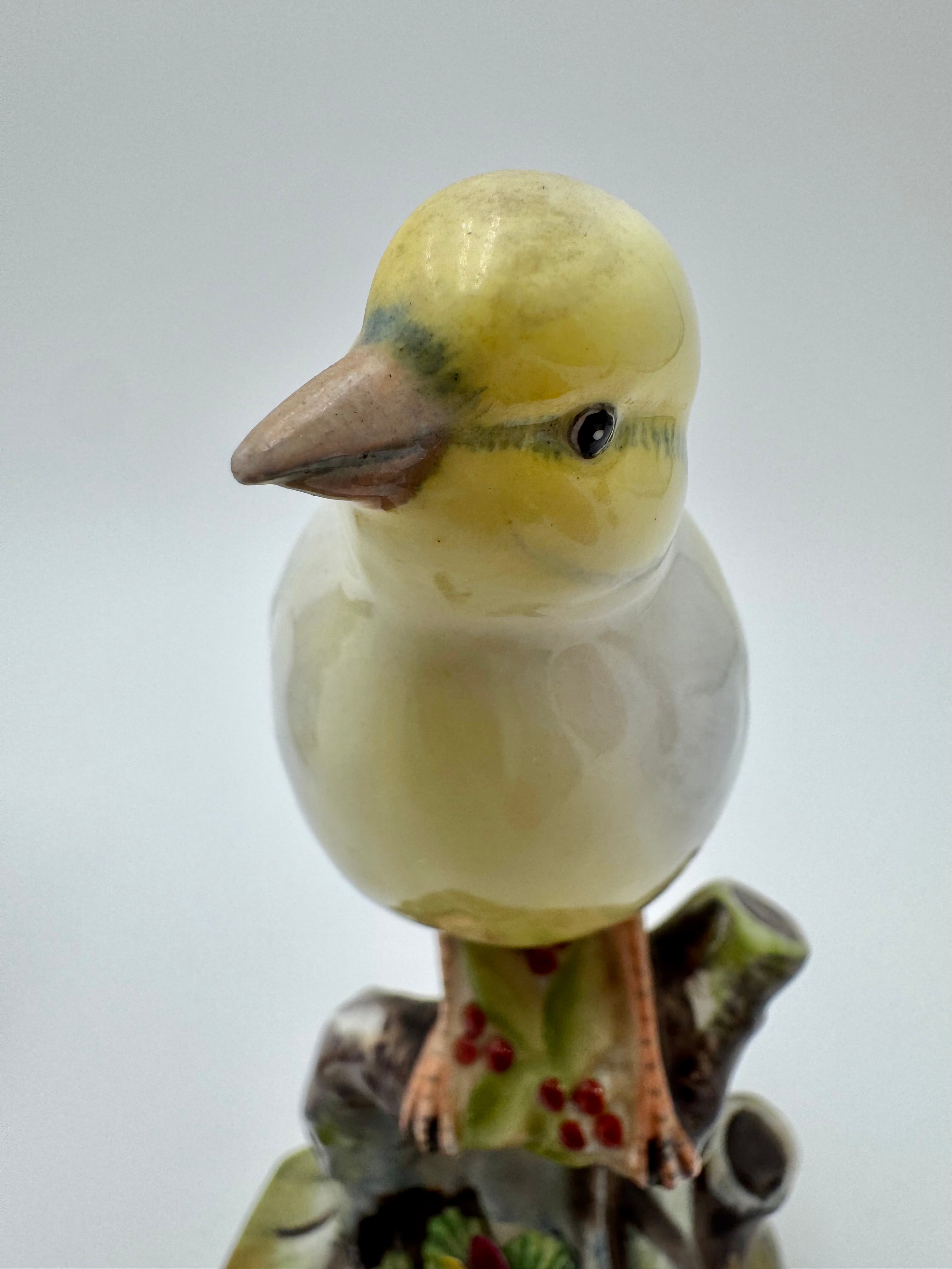 Adderley Bone China Yellow Songbird Figurine | Hand-Painted English Bird