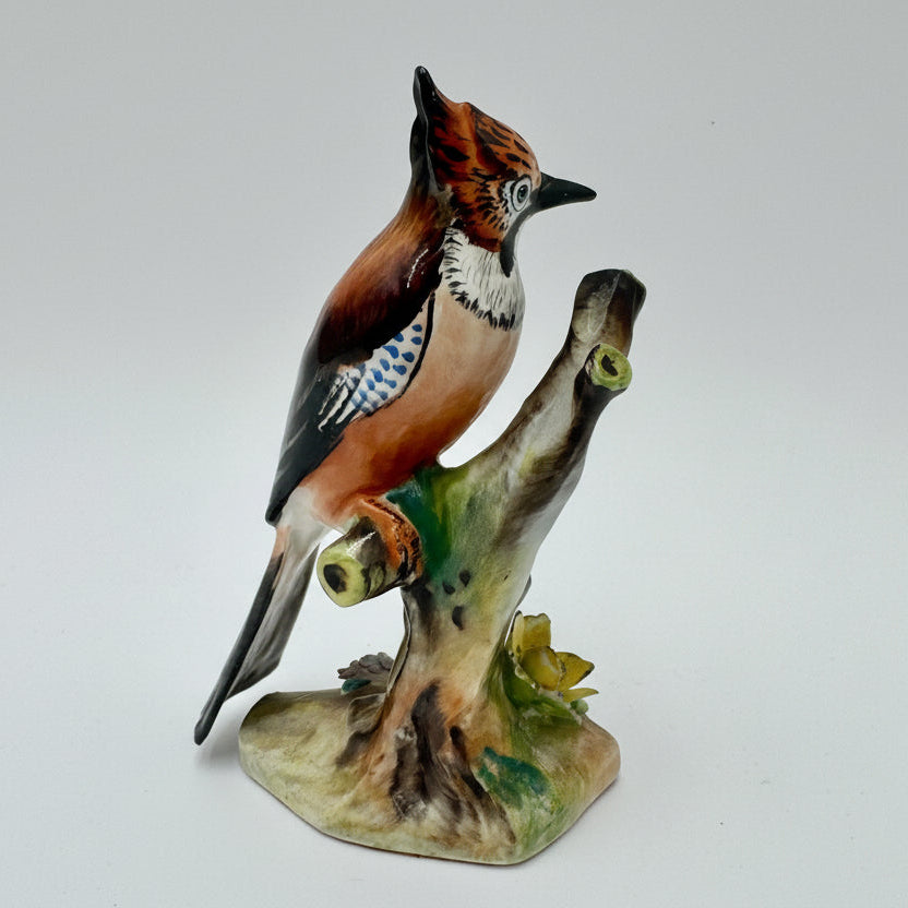 Adderley Bone China English Jay Bird Figurine | Hand-Painted Staffordshire England