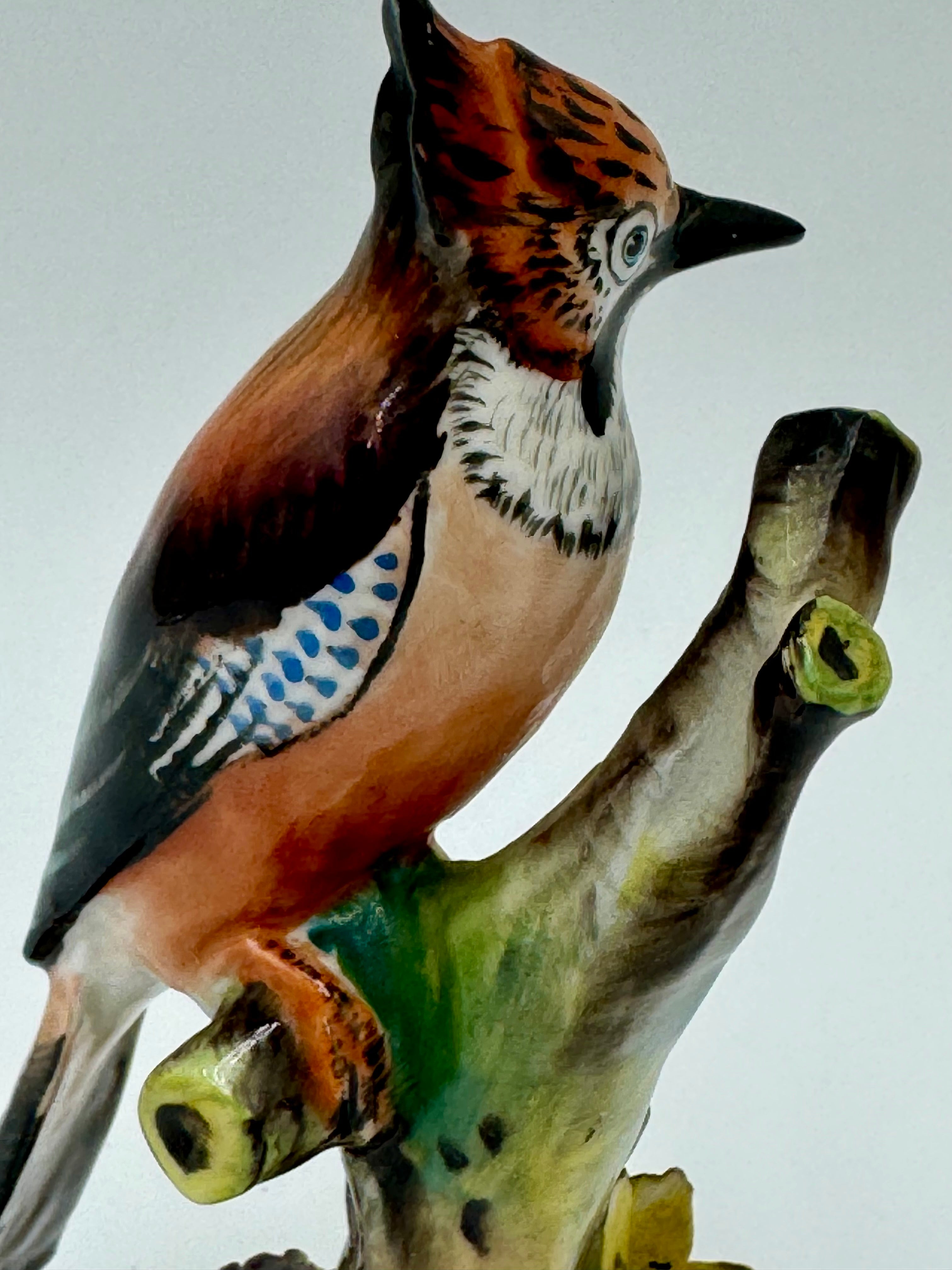 Adderley Bone China English Jay Bird Figurine | Hand-Painted Staffordshire England