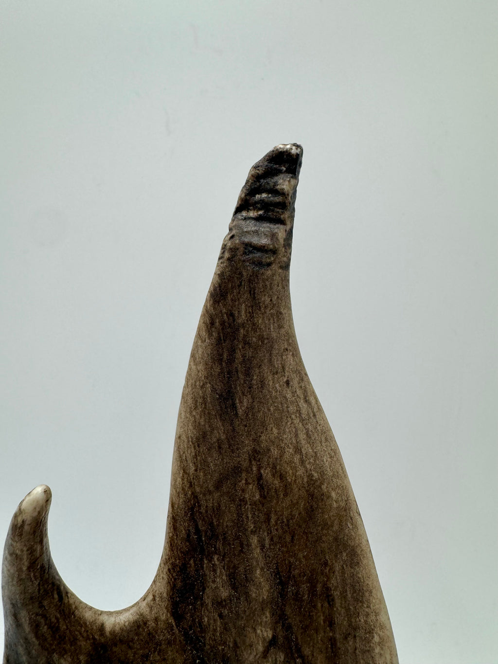 Signed Alaskan T. Goosen Hand-Carved Antler Eagle Sculpture on Wood Base
