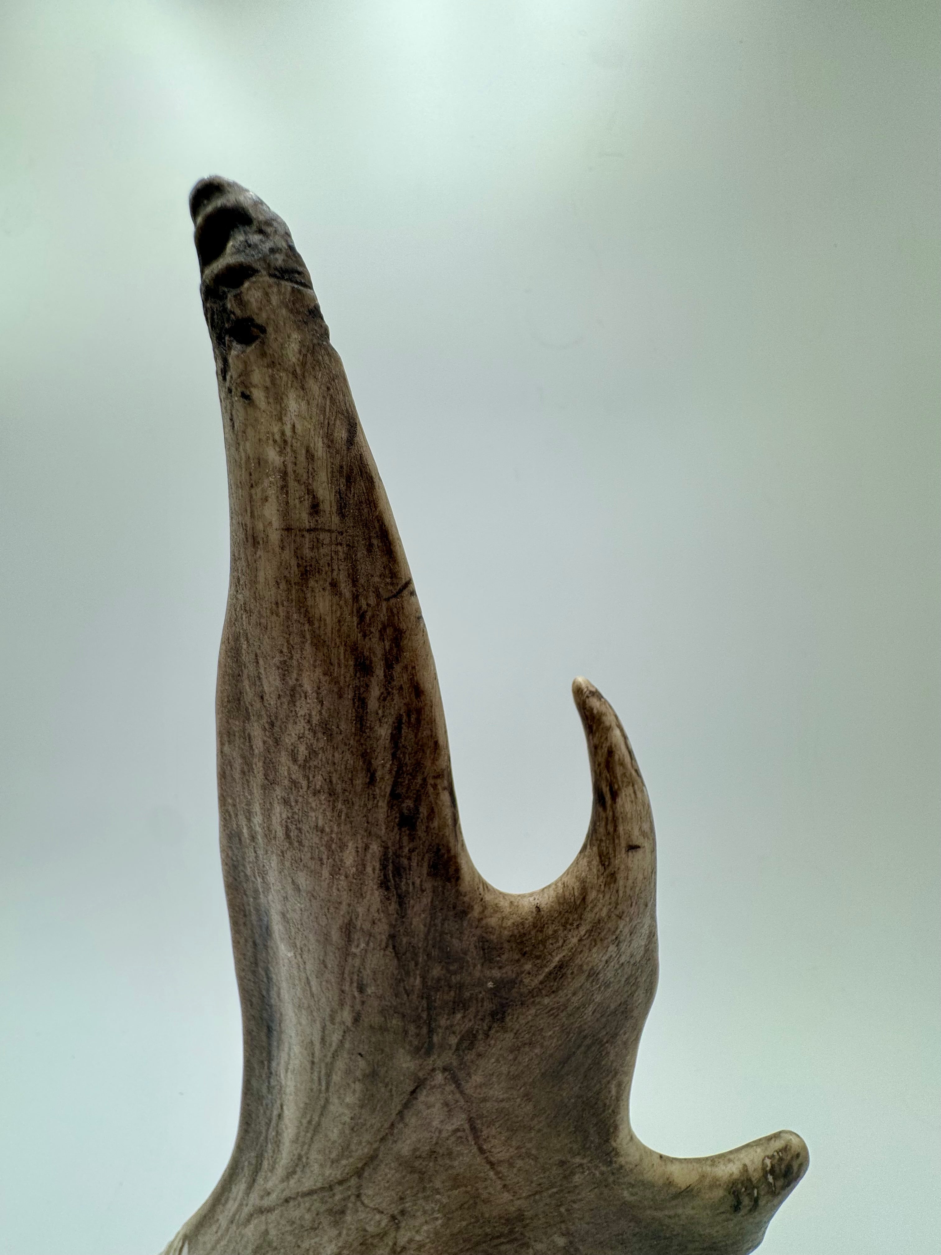Signed Alaskan T. Goosen Hand-Carved Antler Eagle Sculpture on Wood Base